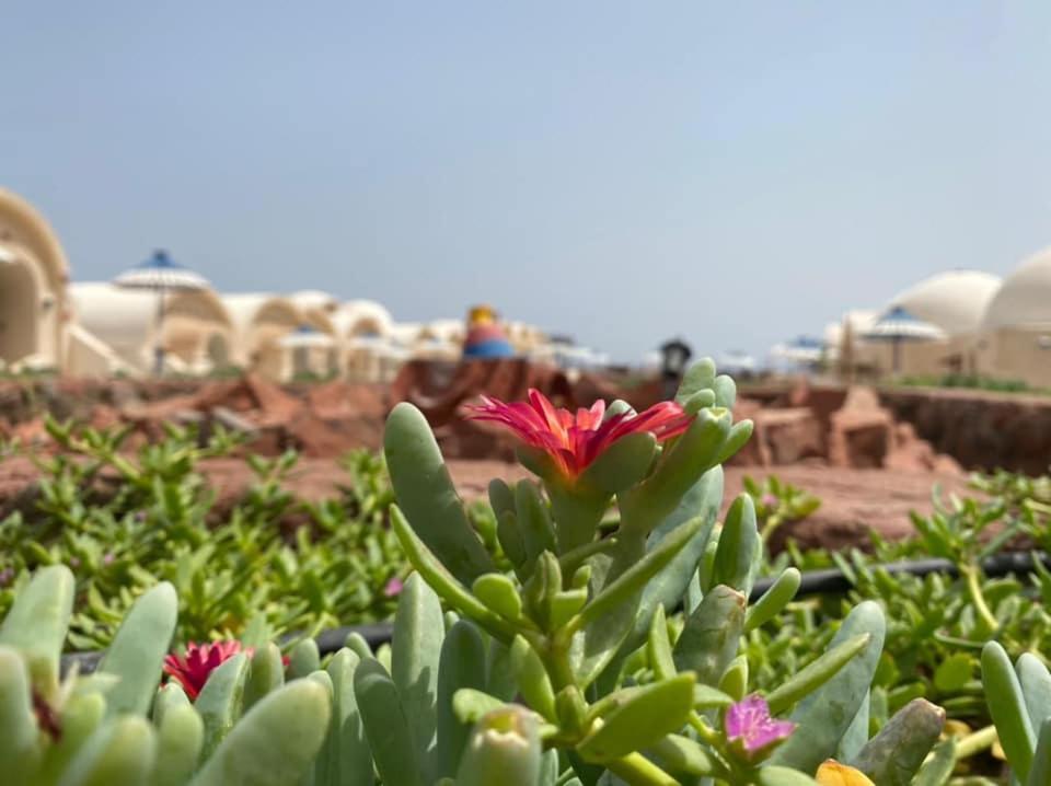Lagona Dahab Village Bagian luar foto